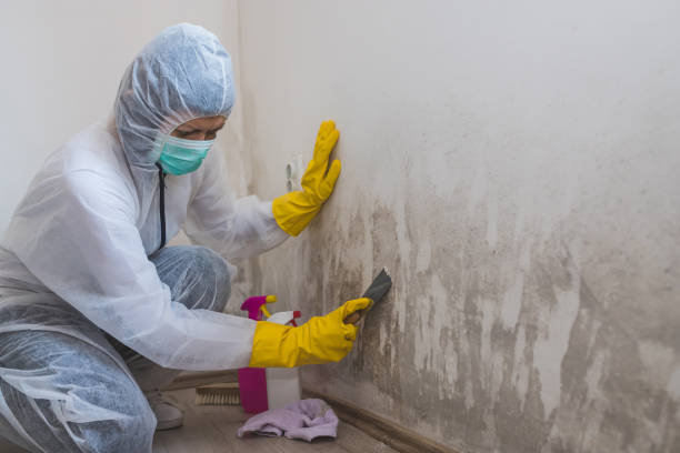 Best Mold Remediation for Healthcare Facilities  in Richmond, VA