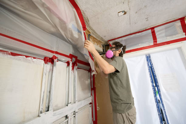 Reliable Richmond, VA Mold Inspection, Removal & Remediation Solutions